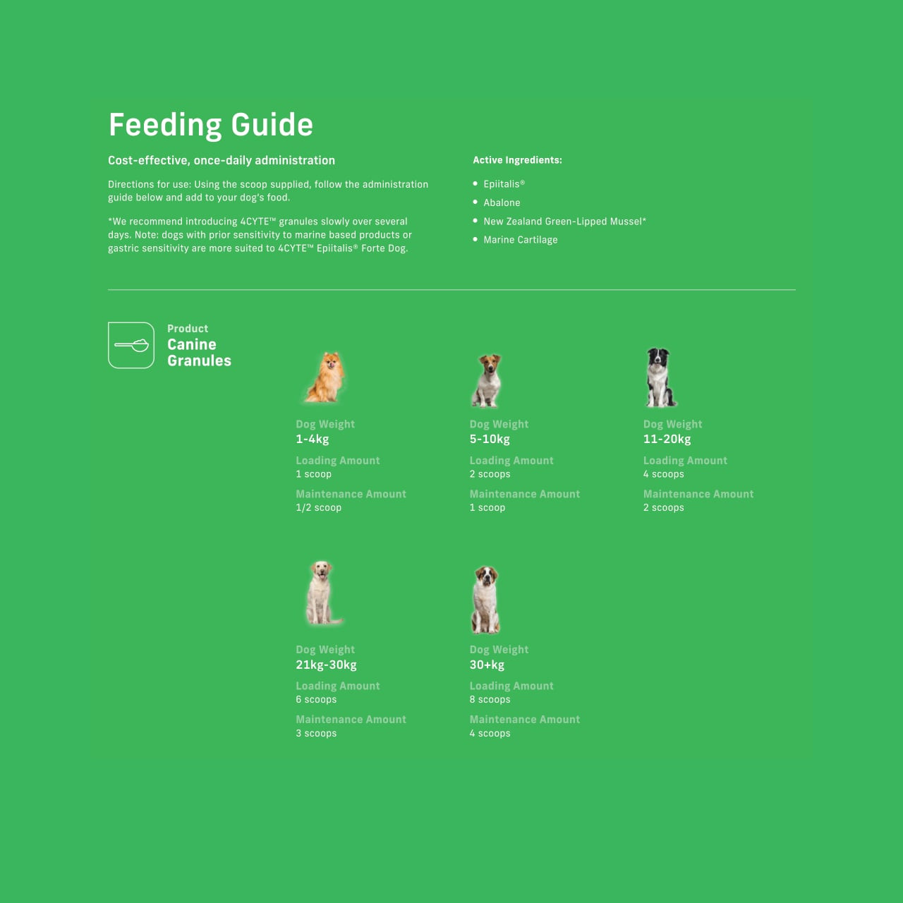4CYTE Canine Joint Support Granules packaging with feeding guide for different dog weights.