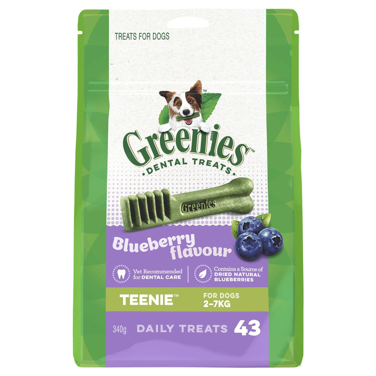 Greenies Blueberry Teenie Dog Treats in a 340g bag, designed for dental health and fresh breath.