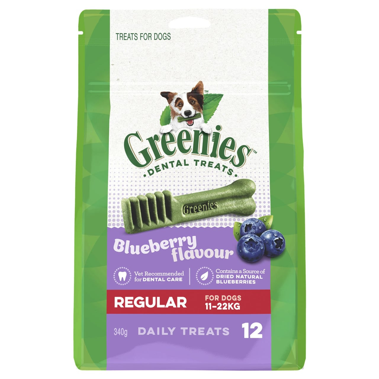 Greenies Blueberry Regular Dog Treats (340g) in vibrant green packaging, healthy dental care.