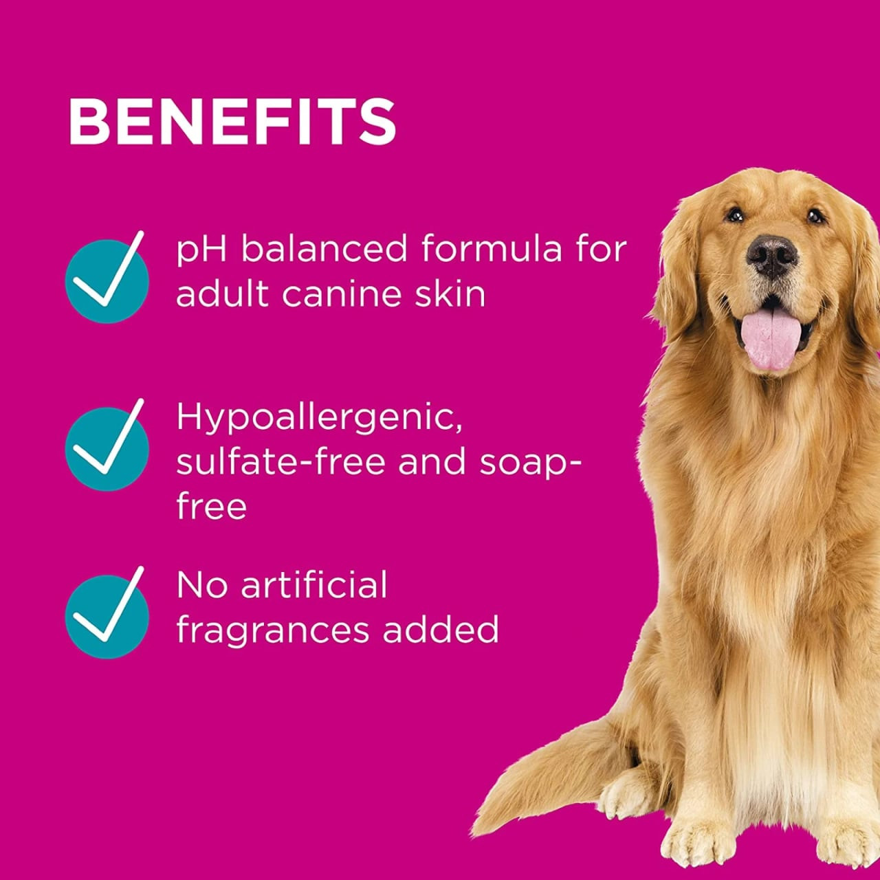 PAW 2 In 1 Skin & Coat Conditioning Shampoo 500ml, promoting healthy skin for adult dogs.