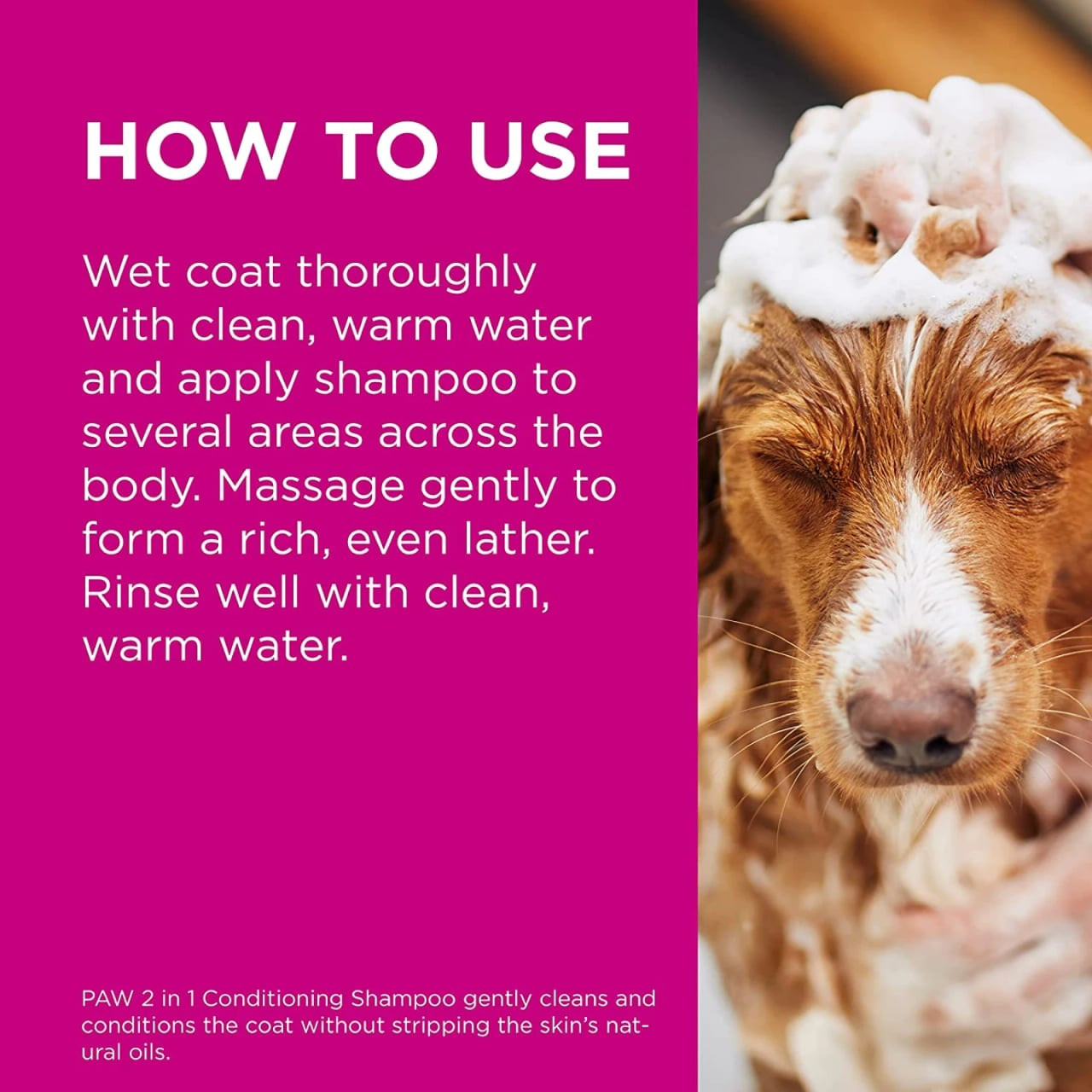 PAW 2 In 1 Skin & Coat Conditioning Shampoo 500ml with instructions for use on pets.