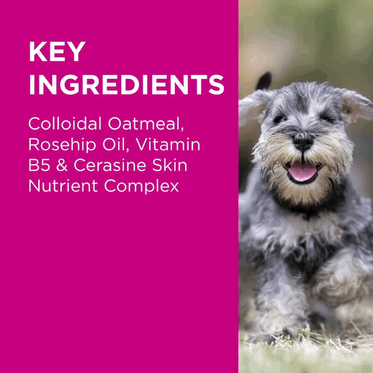 PAW Nutriderm Replenishing Shampoo & Conditioner Pack with essential nutrients for healthy pet skin.