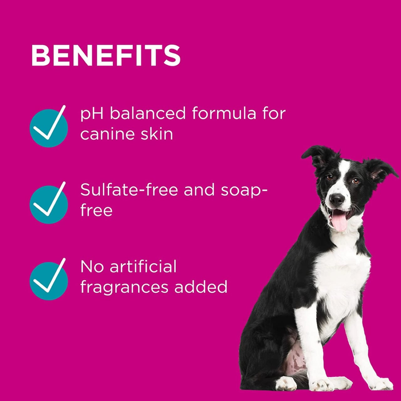 PAW Lavender Conditioning & Grooming Spray for Dogs, 200ml, pH balanced, sulfate-free.