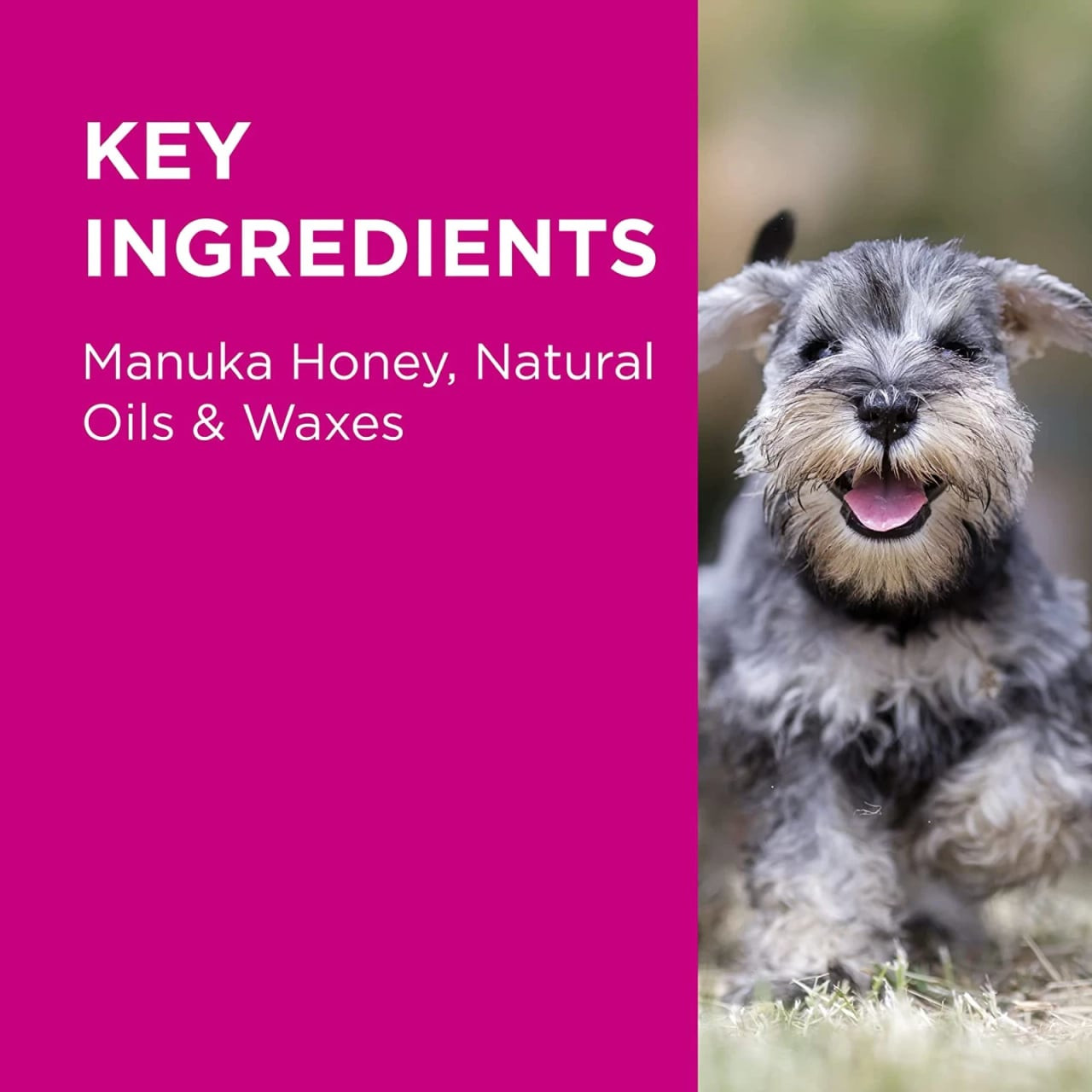 PAW Manuka Wound Gel for Dogs, Cats & Horses, 100g with key ingredients listed.