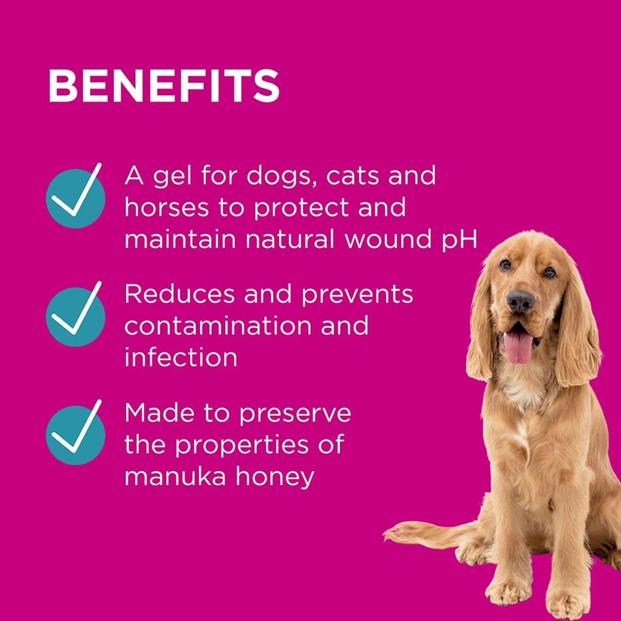 PAW Manuka Wound Gel benefits listed with a golden retriever on a vibrant pink background.