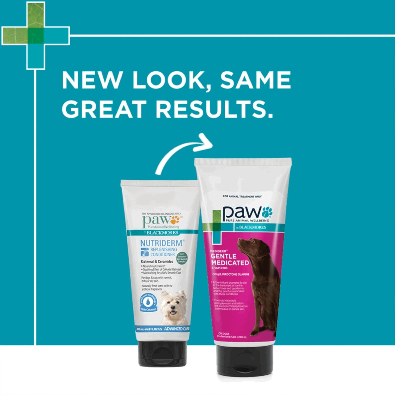 PAW Mediderm Gentle Medicated Shampoo for Dogs 200ml with refreshed packaging and pet health benefits.