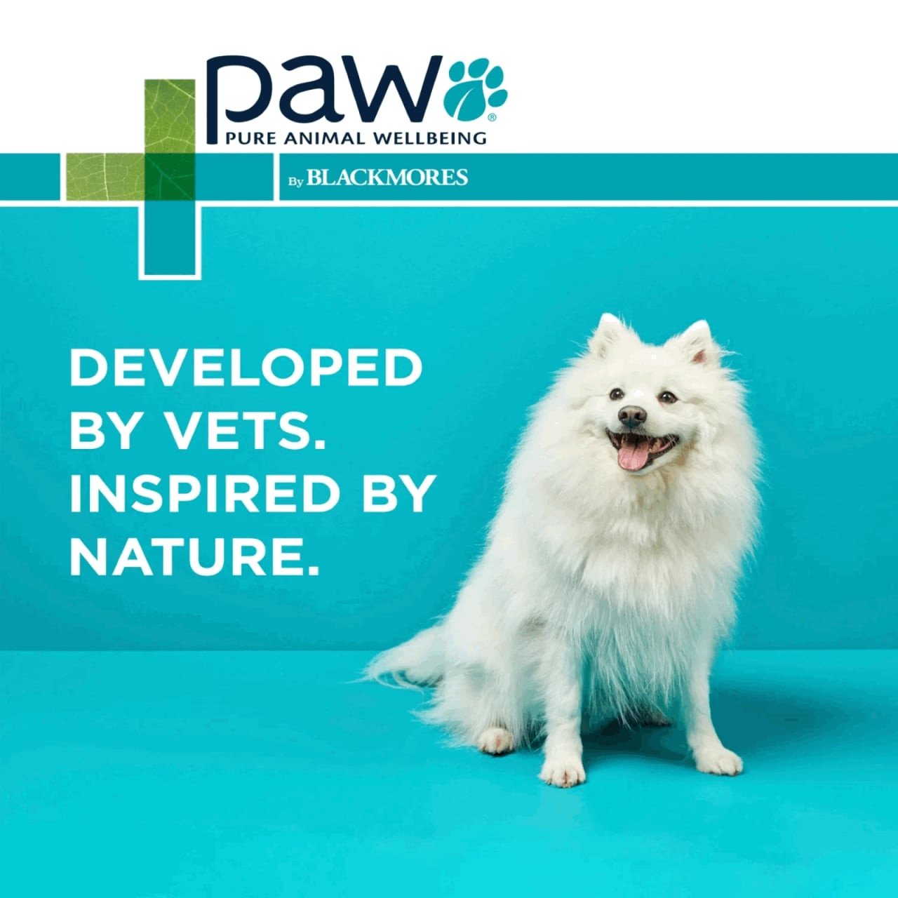 PAW Mediderm Gentle Medicated Shampoo for Dogs in 500ml, promoting pet health and wellbeing.