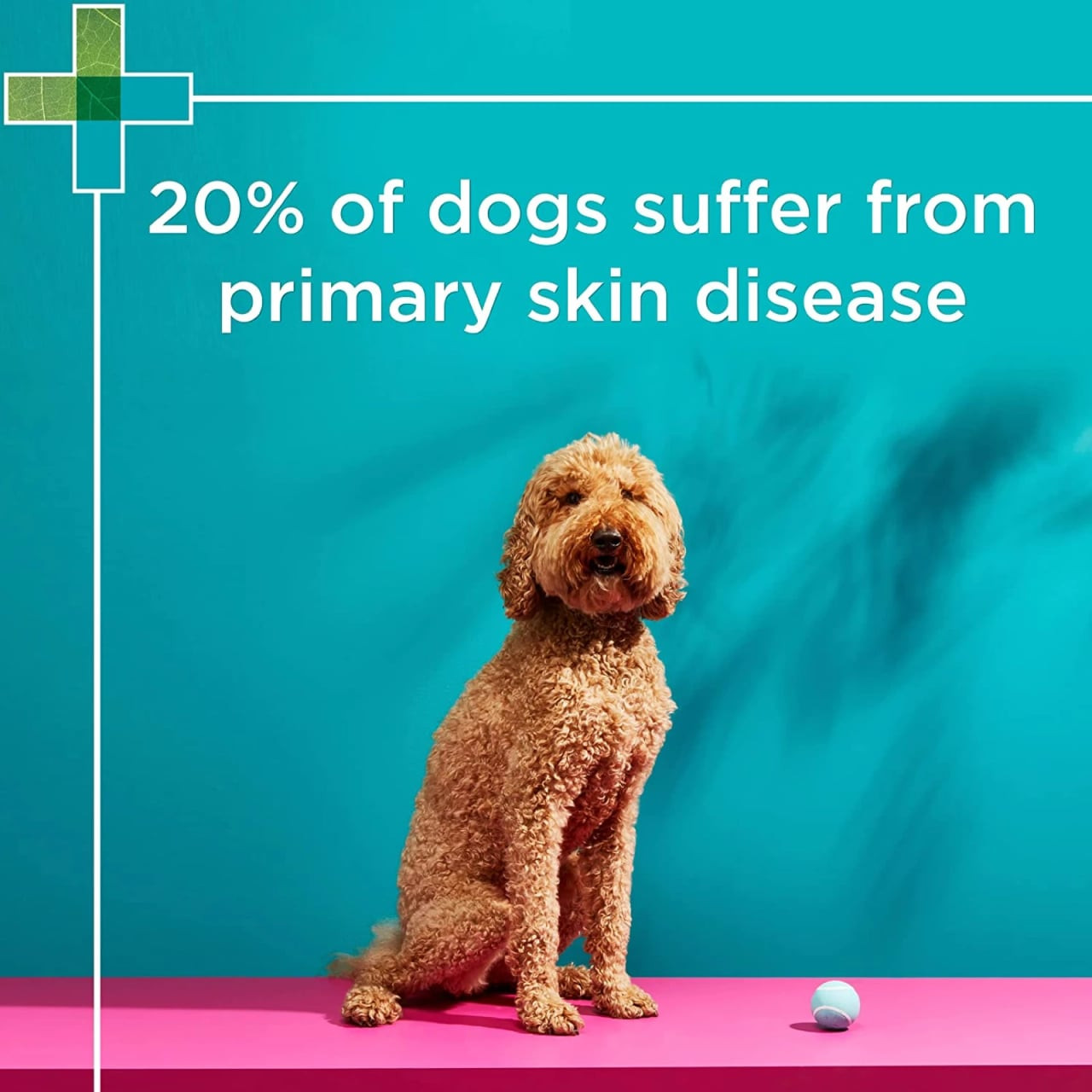 PAW Nutriderm Replenishing Conditioner for Cats & Dogs, 500ml, promotes healthy skin and coat.