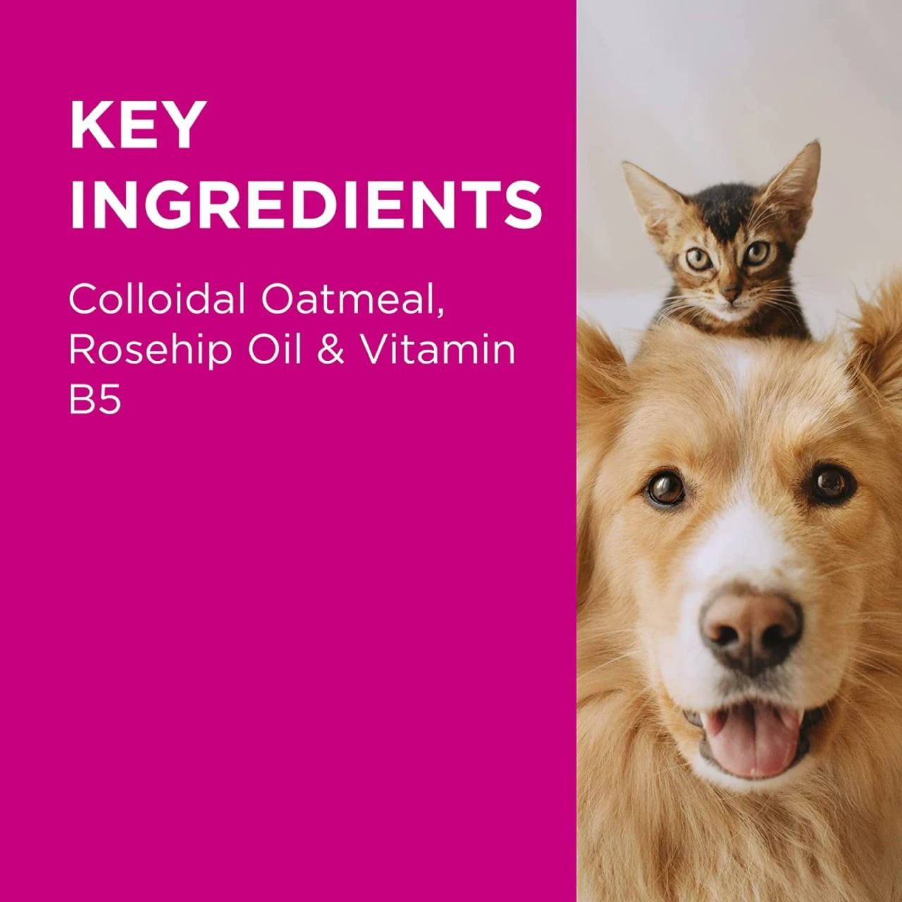 PAW Nutriderm Nourishing Shampoo for Cats & Dogs, featuring key ingredients like oatmeal and rosehip oil.