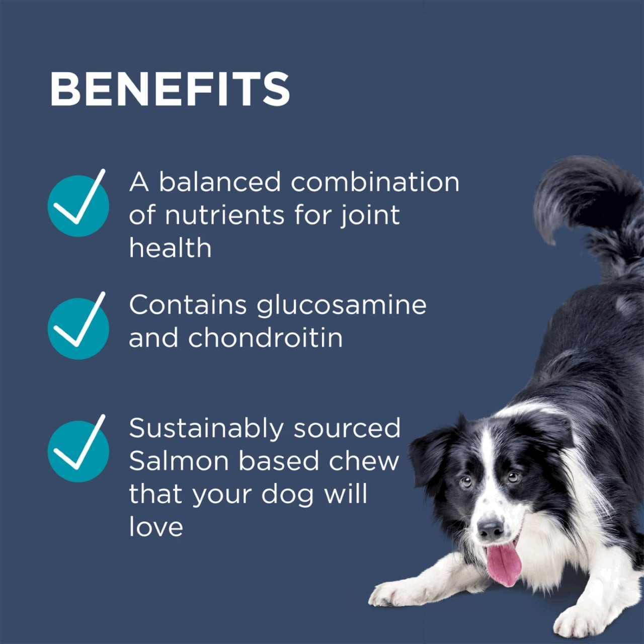 PAW Osteocare Joint Protect Chews packaging highlighting benefits for medium to large dogs.