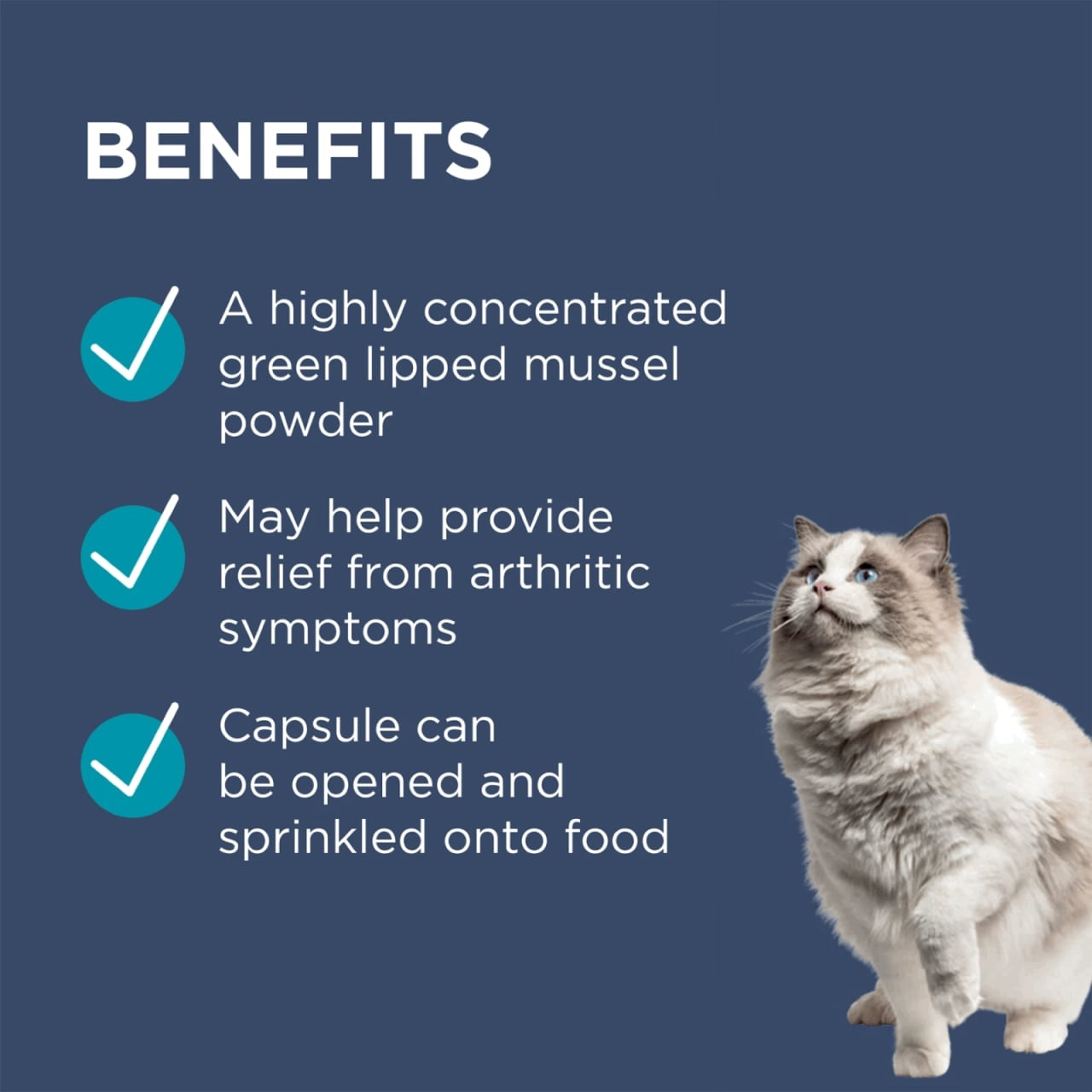 PAW Osteosupport Supplement for Cats with green-lipped mussel powder for joint health.