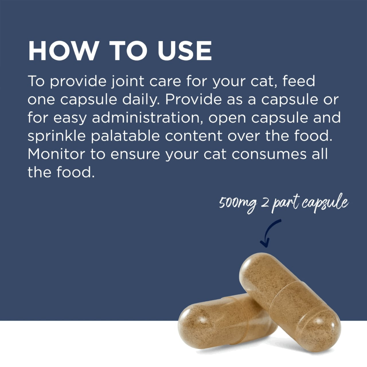 PAW Osteosupport Supplement for Cats, 60 capsules, for joint care and health.