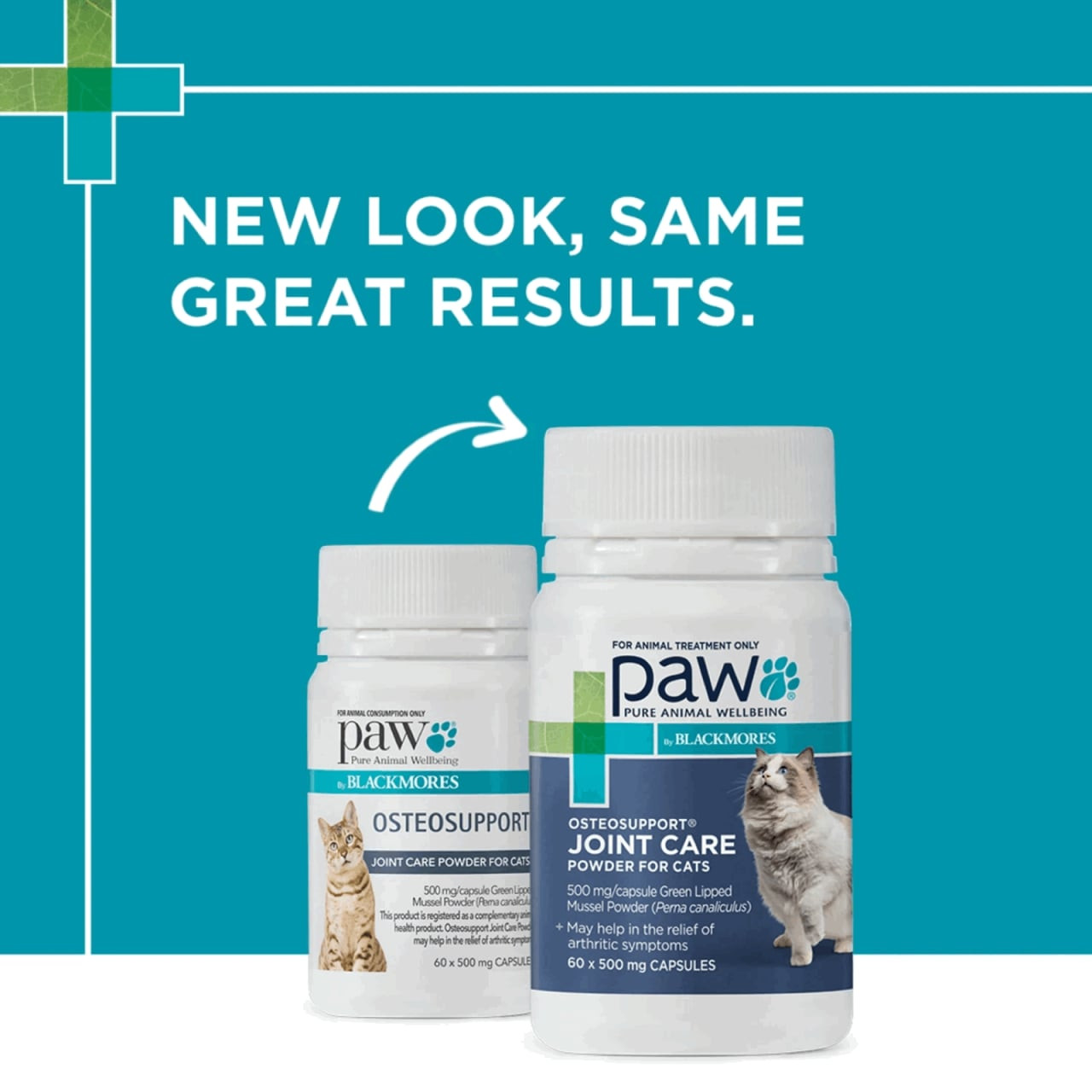 PAW Osteosupport Supplement for Cats, 60 capsules, promotes joint health and mobility.