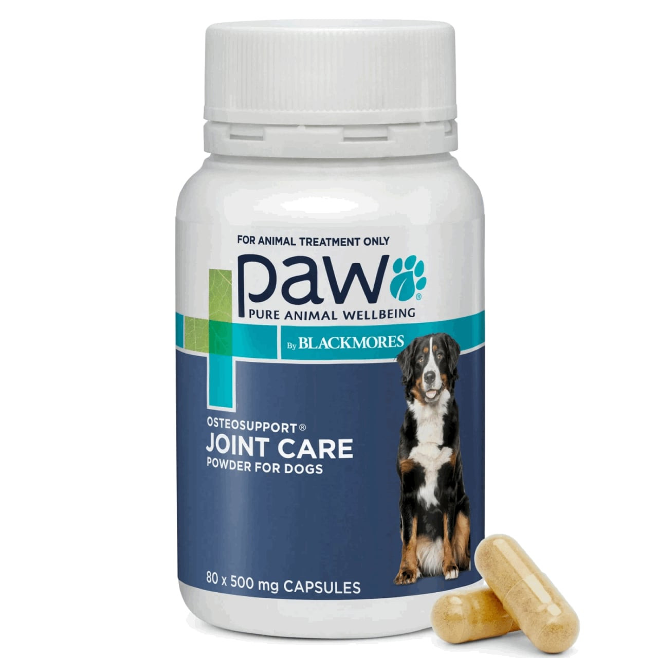 PAW Osteosupport Powder for Dogs, 500mg, 80 capsules for joint care and pet health.
