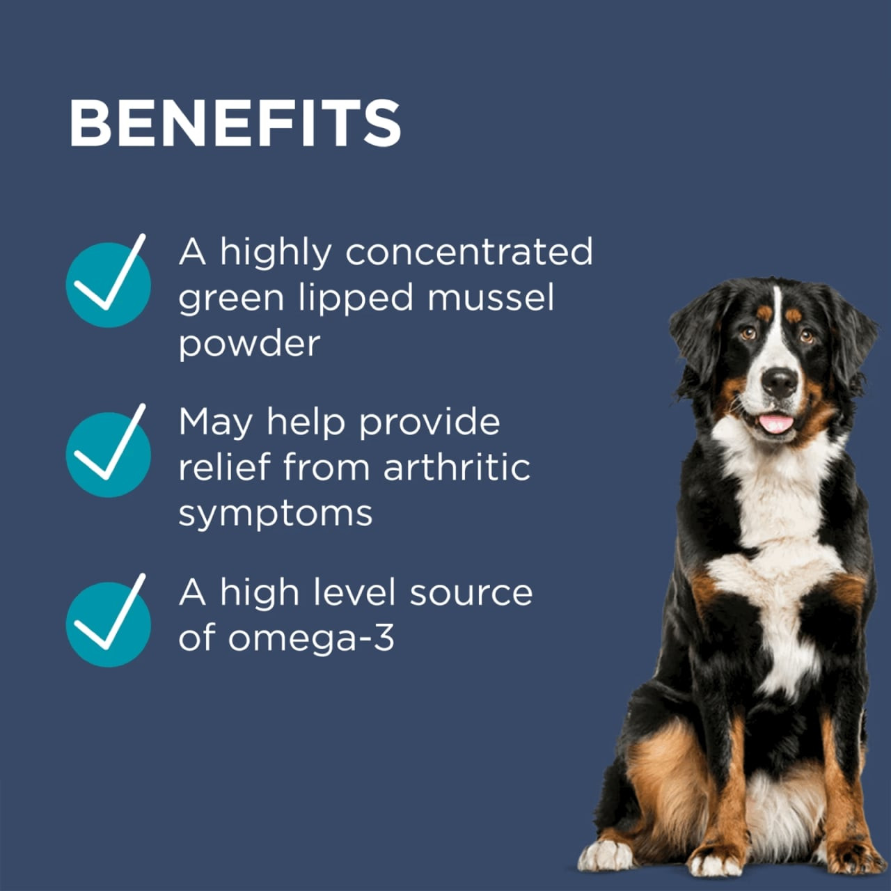 PAW Osteosupport Powder for Dogs 500mg, 80 capsules, featuring benefits for pet joint health.