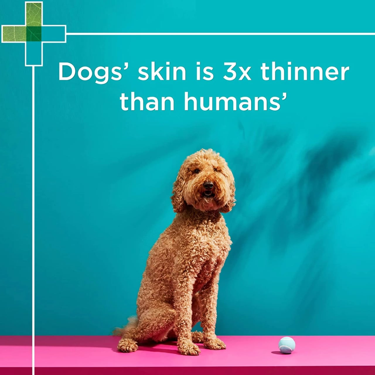 PAW Sensitive Conditioner for Dogs 500ml, ideal for maintaining healthy skin and coat.