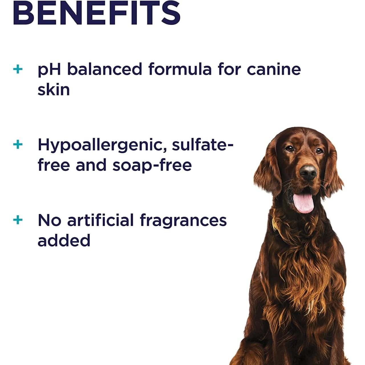 PAW Sensitive Shampoo for Dogs 500ml, pH balanced and hypoallergenic, promotes healthy canine skin.