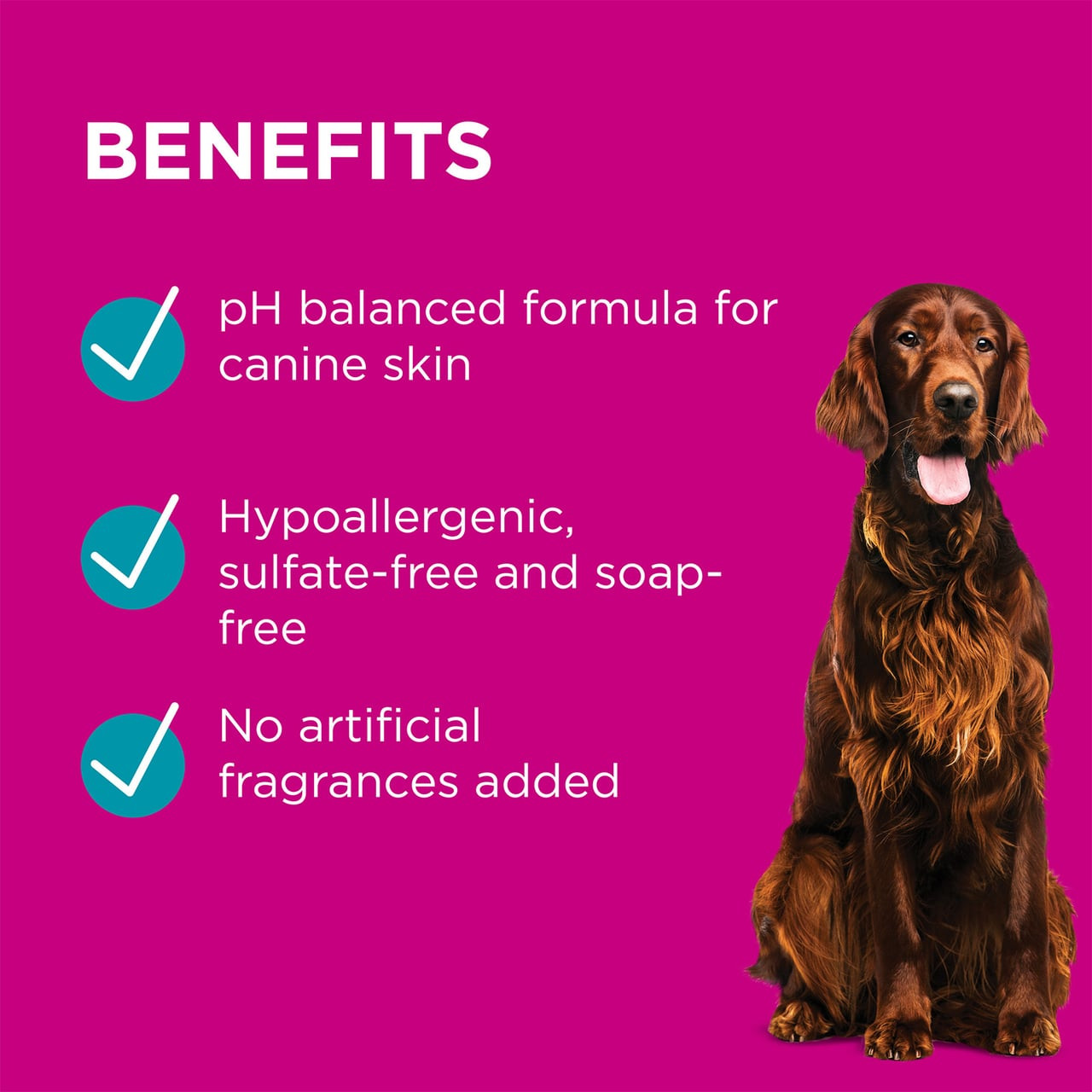 PAW Sensitive Shampoo for Dogs 500ml, pH balanced, hypoallergenic, sulfate-free formula.