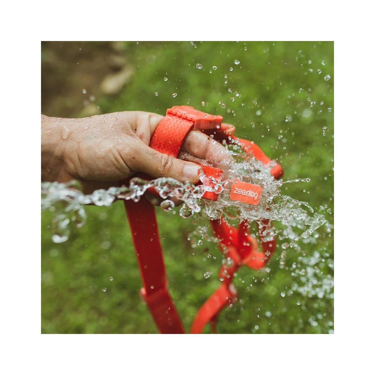 Zee.Dog Neopro Red H-Harness, waterproof design, perfect for active dogs outdoors.