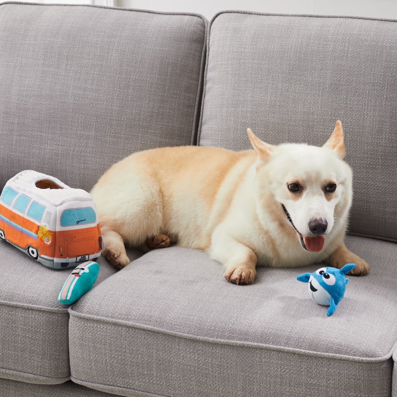Outward Hound Hide A Surf Van Plush Dog Puzzle with three squeaky toys for interactive fun.