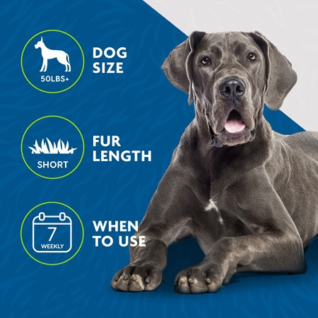 FURminator Short Hair Deshedding Tool, ideal for large dogs over 50lbs with short fur.