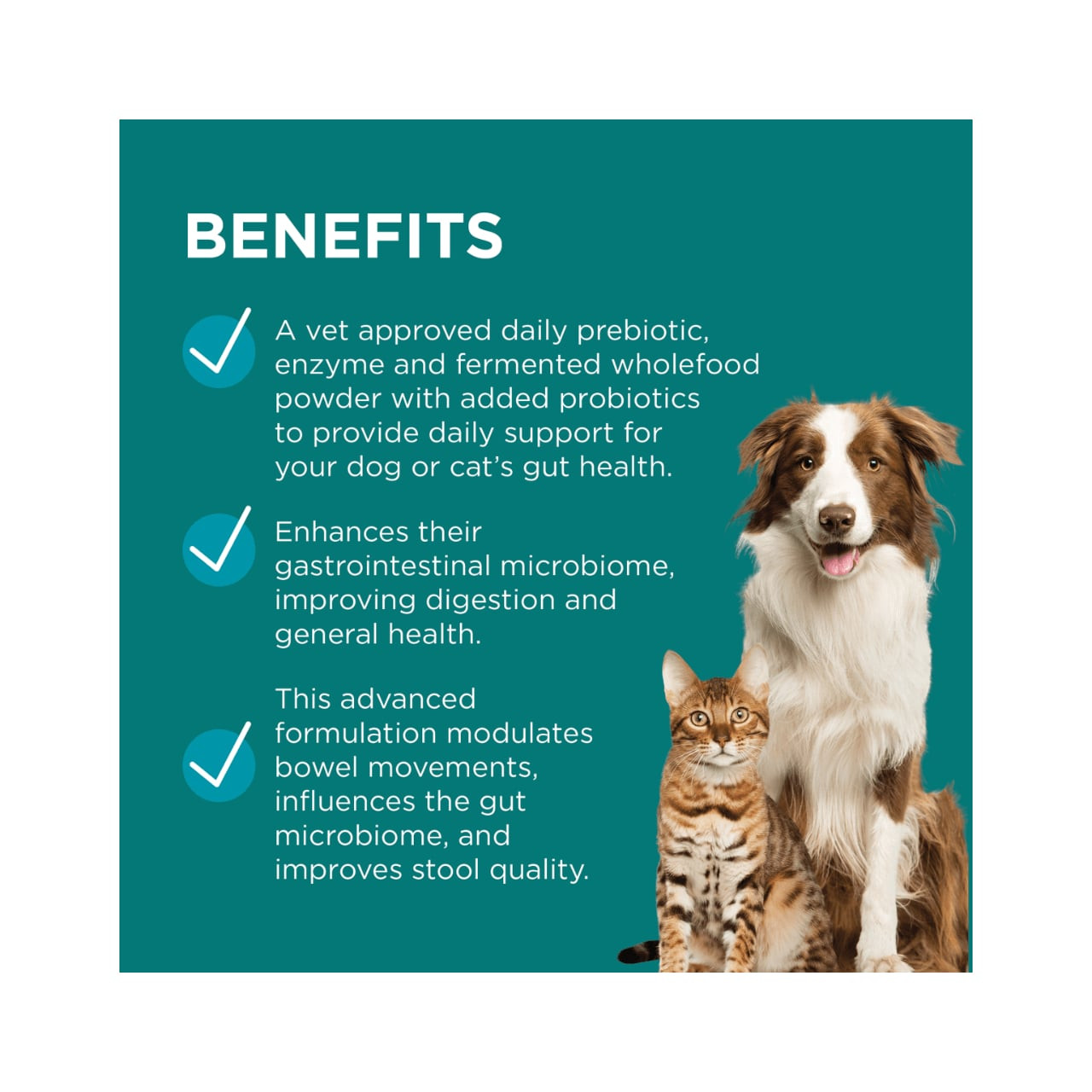 PAW DigestiCare Probiotic for Dogs & Cats benefits for gut health and digestion support.