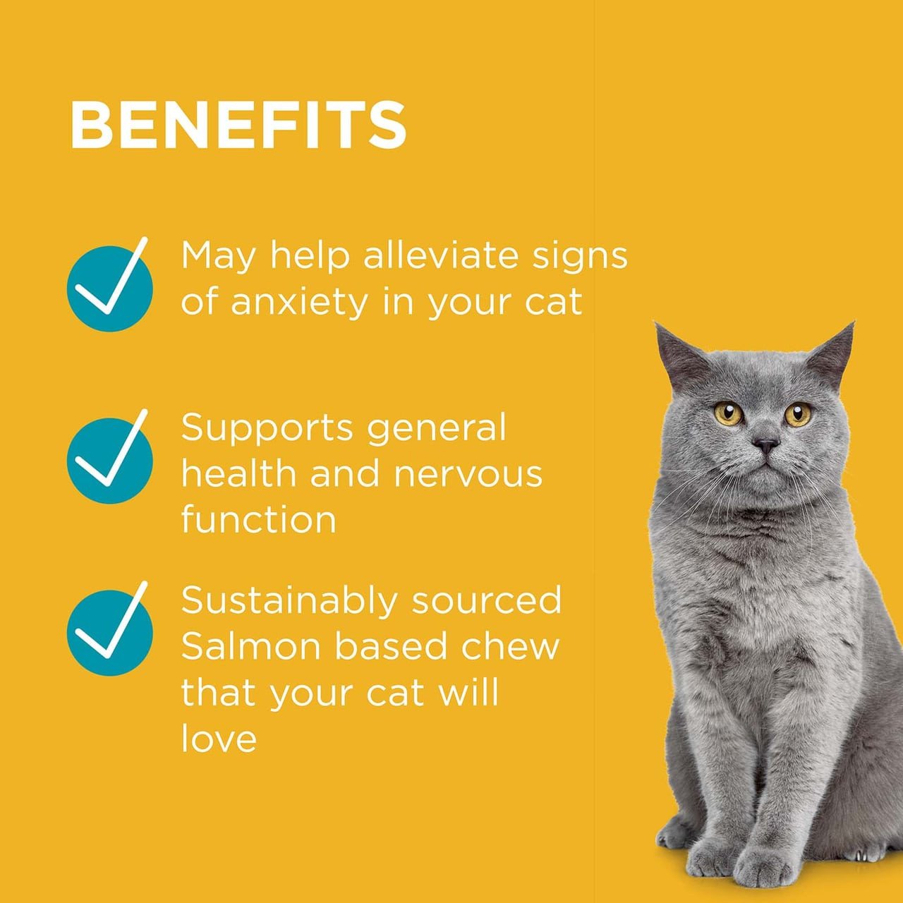 PAW Complete Calm Chews for Cats, salmon-based, promotes relaxation and nervous health.