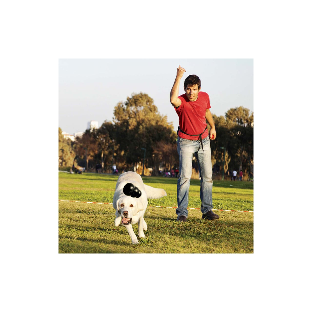 KONG Extreme Interactive Dog Toy in large, perfect for active play with dogs outdoors.