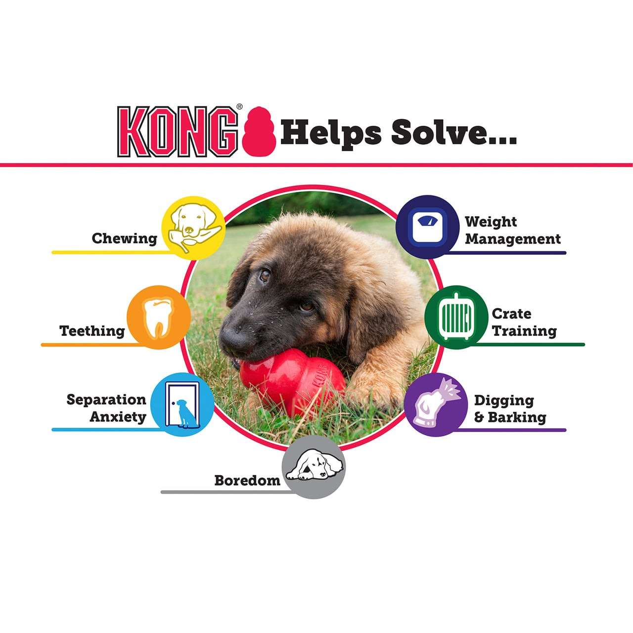 KONG Extreme Interactive Dog Toy X-Large showcased with benefits for dog health and behavior.