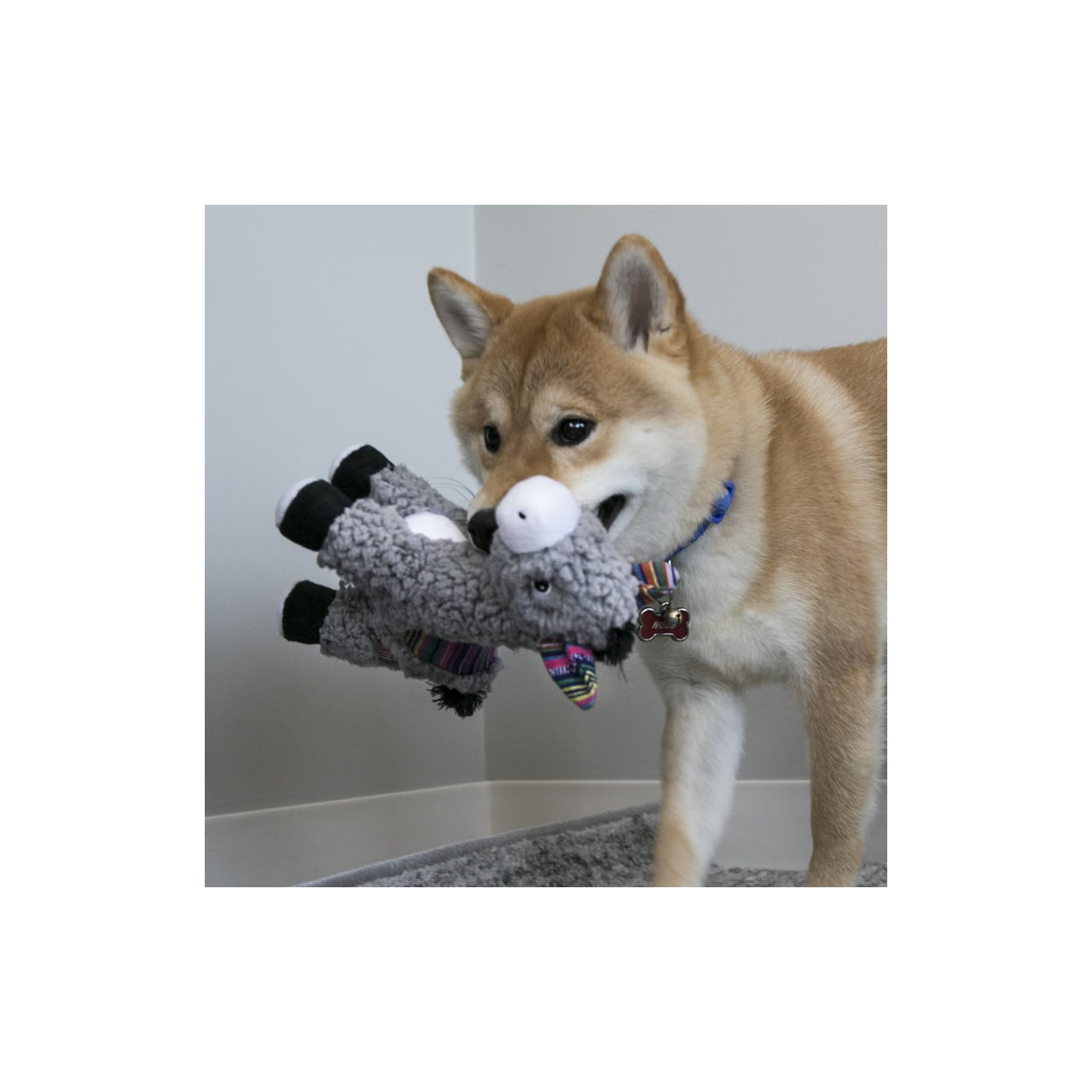 KONG Sherps Donkey Dog Toy held by a Shiba Inu, featuring plush gray fabric and colorful stripes.