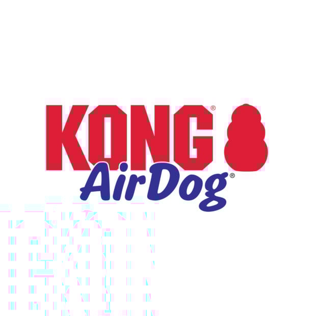 Medium KONG AirDog Football with bright colors, perfect for energetic dogs.