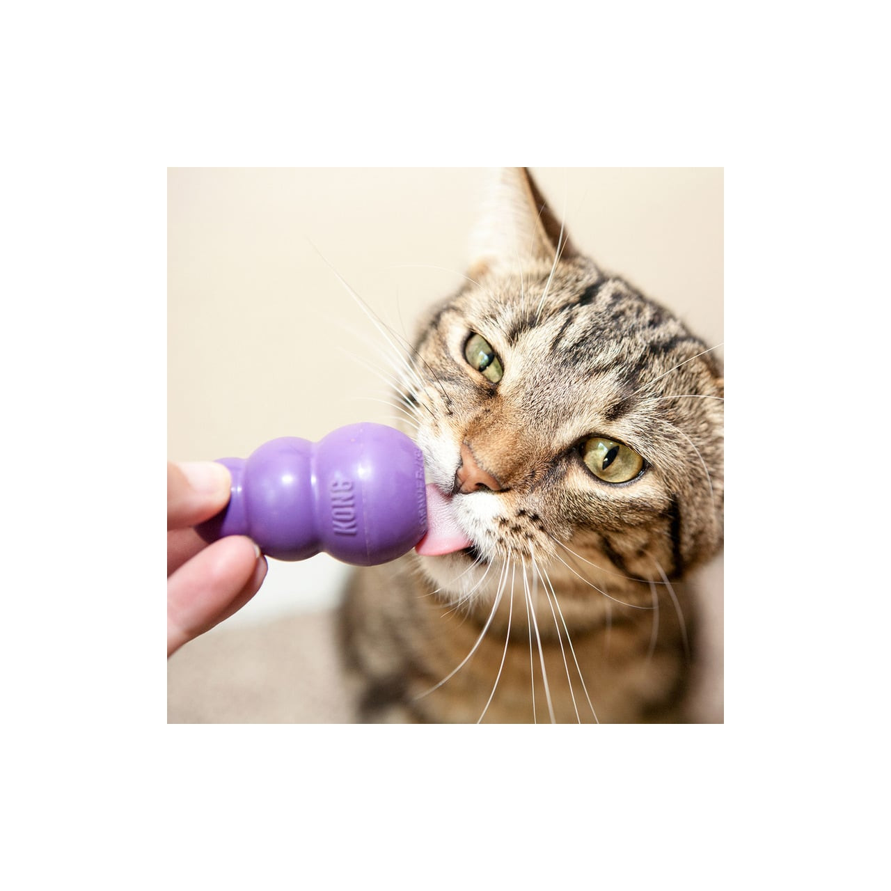 KONG Kitty Interactive Toy in purple, designed for engaging and entertaining cats.