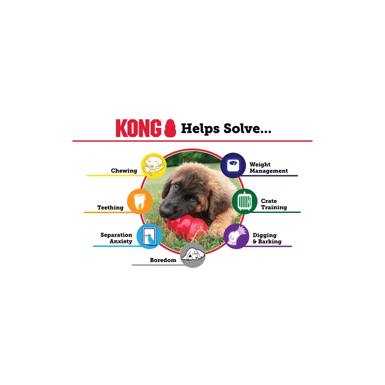 KONG Classic Medium dog toy, designed for teething, boredom, and weight management.