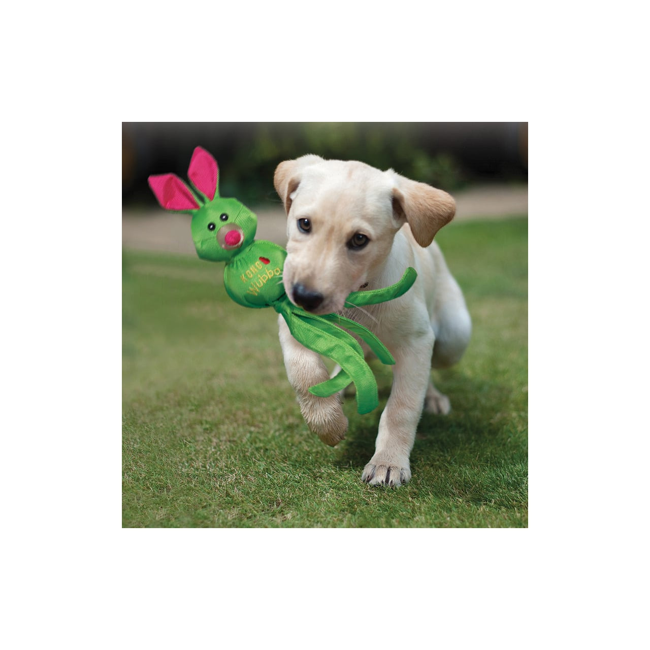 KONG Wubba Ballistic Friends dog toy in green, held by a playful puppy outdoors.