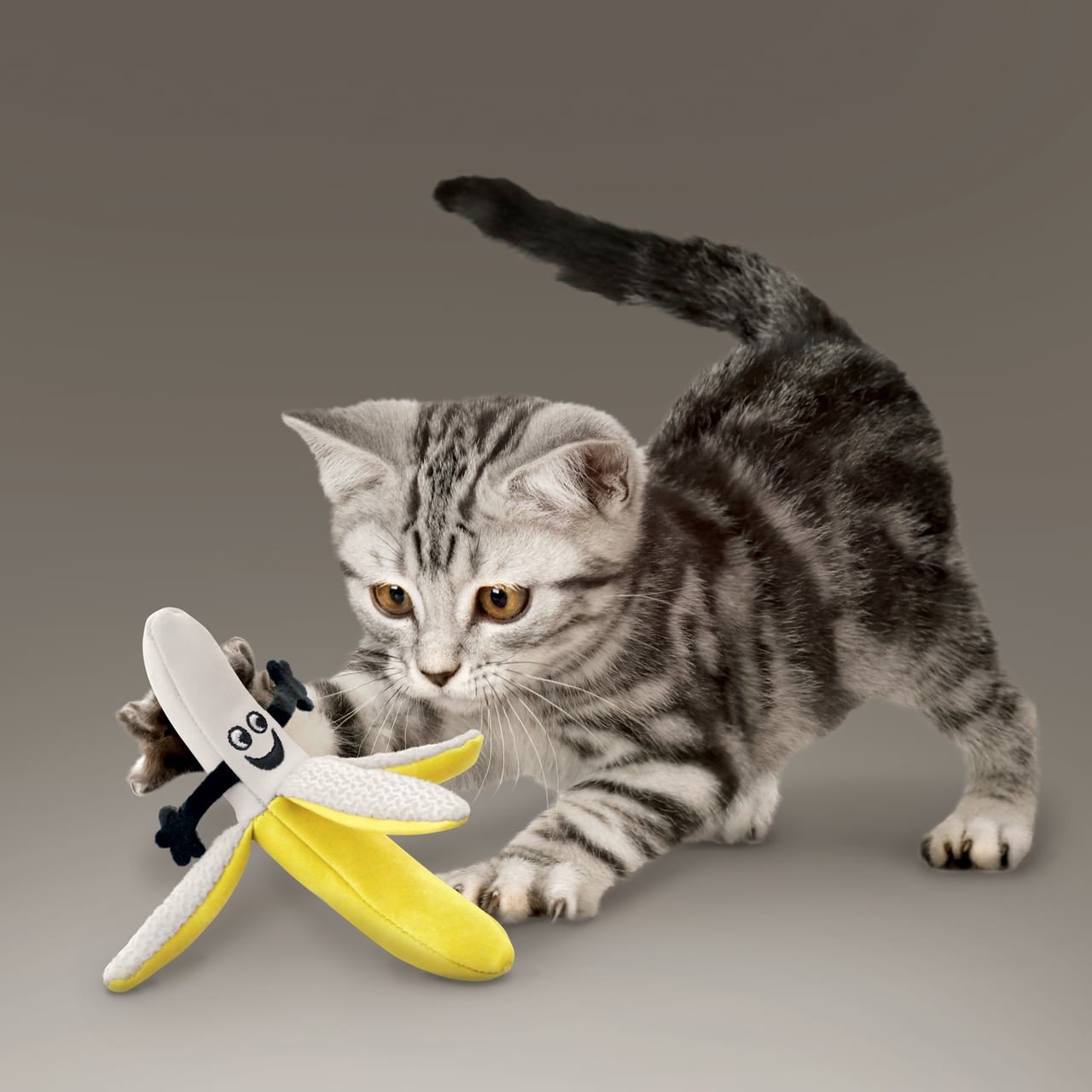 KONG Better Buzz Banana Cat Toy with a playful kitten, perfect for engaging feline fun.