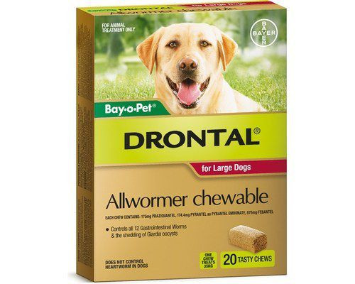 Drontal Allwormer Chews for Dogs, 20 tasty chews in a yellow and brown box.