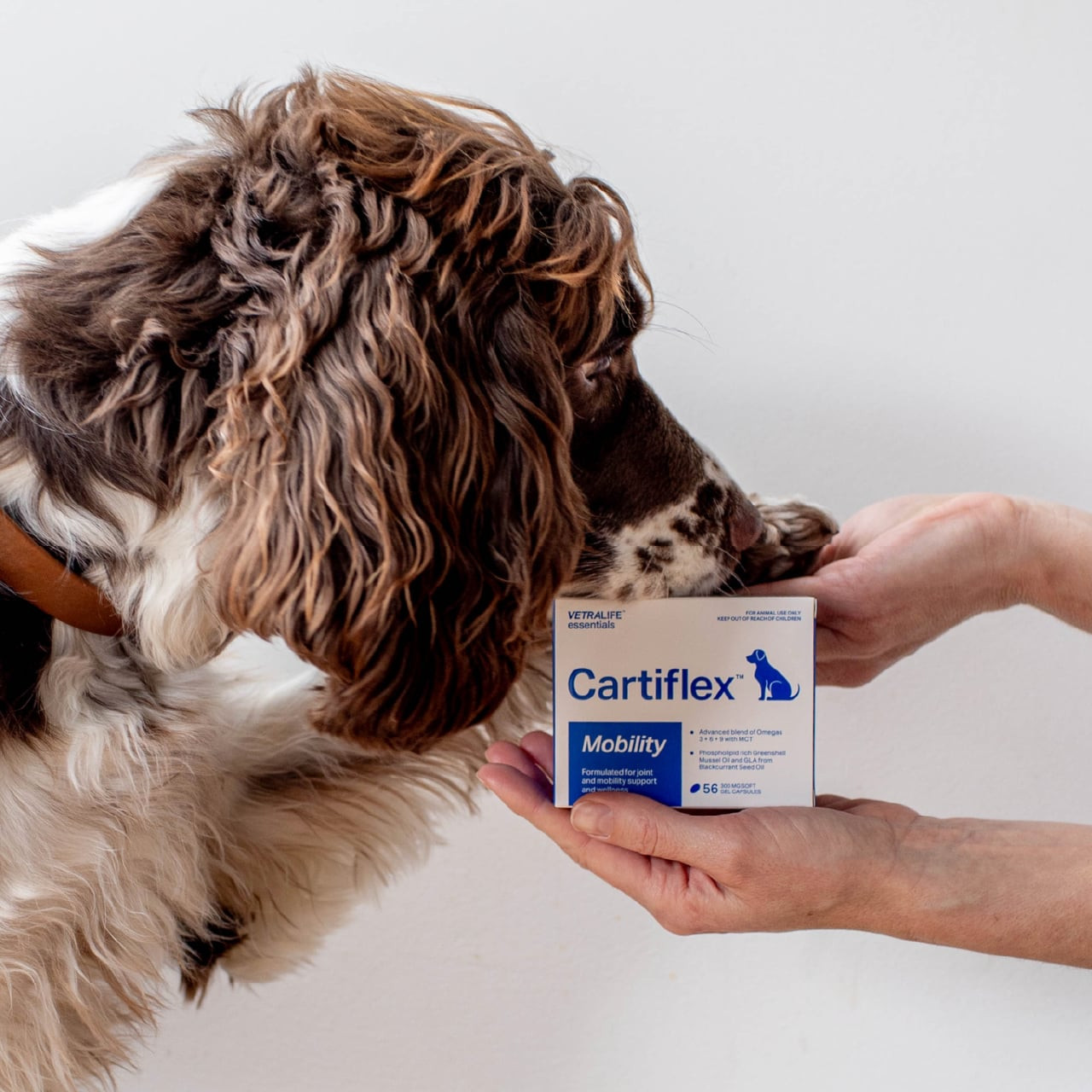 Cartiflex Joint Support for Dogs packaging held near a dog, promoting pet mobility and health.