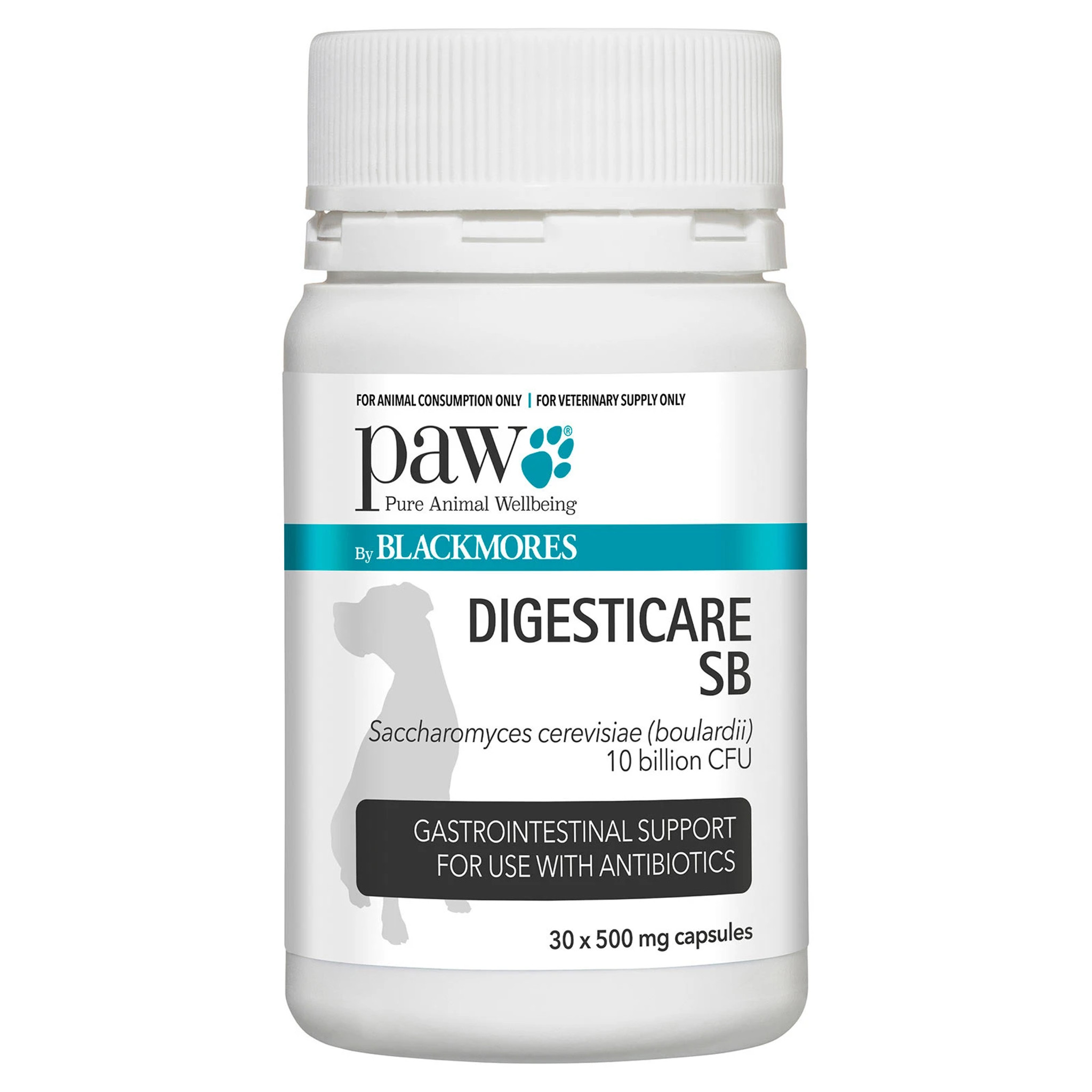 PAW Digesticare SB Probiotic Digestive Support for Dogs Canine