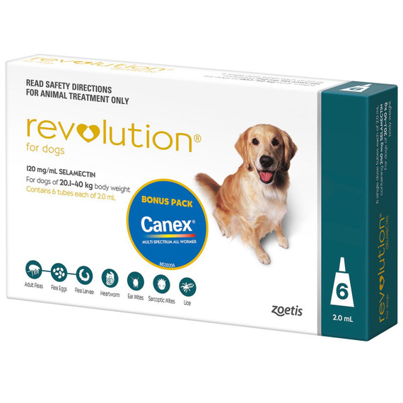 Revolution for Dogs 20.1-40kg - Teal 6 Pack with Bonus Canex Worming Tablets