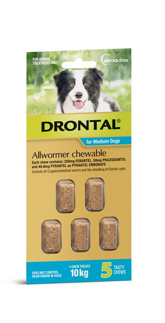 Drontal Allwormer Chews for Dogs up to 10 kg - 5 Pack