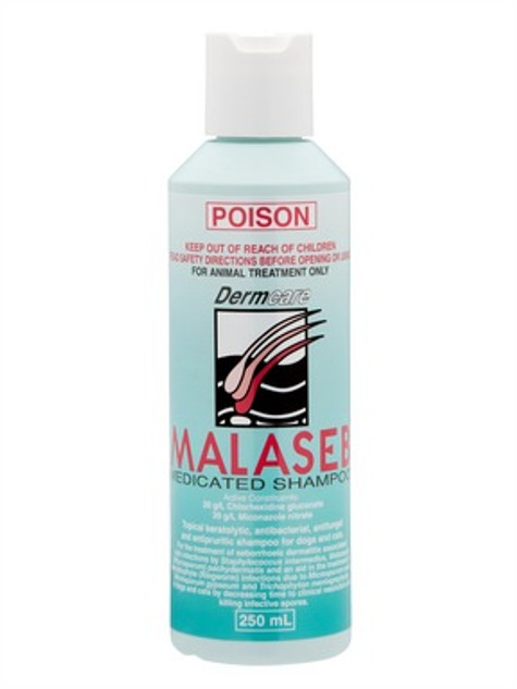 Malaseb Medicated Shampoo For Dogs & Cats 250ml