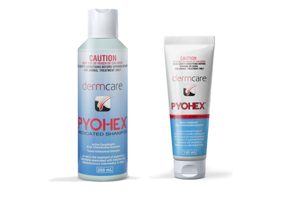 Dermcare Pyohex 250mL Shampoo and 100mL Conditioning Lotion Combo Pack