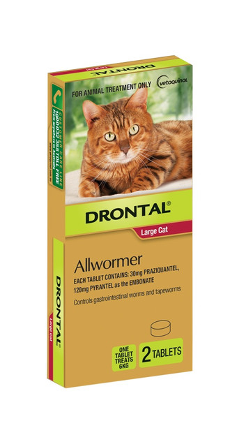 Drontal Allwormer Tablets for Cats up to 6 kg - 2 Pack