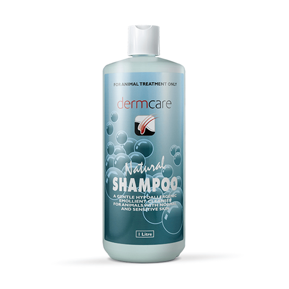 Dermcare Natural Shampoo - 1L
