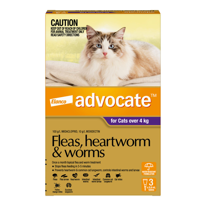 Advocate for Large Cats over 4 kg - 3 Pack