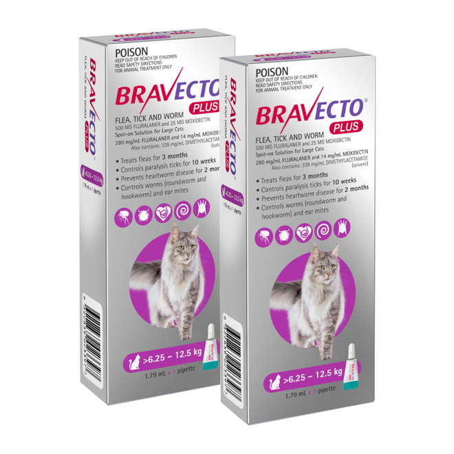 Bravecto PLUS Spot On for Cats 6.25-12.5 kg - Purple 2 Doses