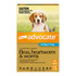 Advocate for Dogs 4-10 kg - 6 Pack