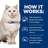 Hills Prescription Diet Feline c/d Urinary Care Multicare Stress Chicken & Vegetable Stew Wet Cat Food 82g x 24