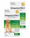 Simparica TRIO Chews for Dogs 20.1-40 kg - Green 12 Chews