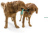 West Paw Seaflex Recycled Plastic Tug Dog Toy - Snorkl Emerald